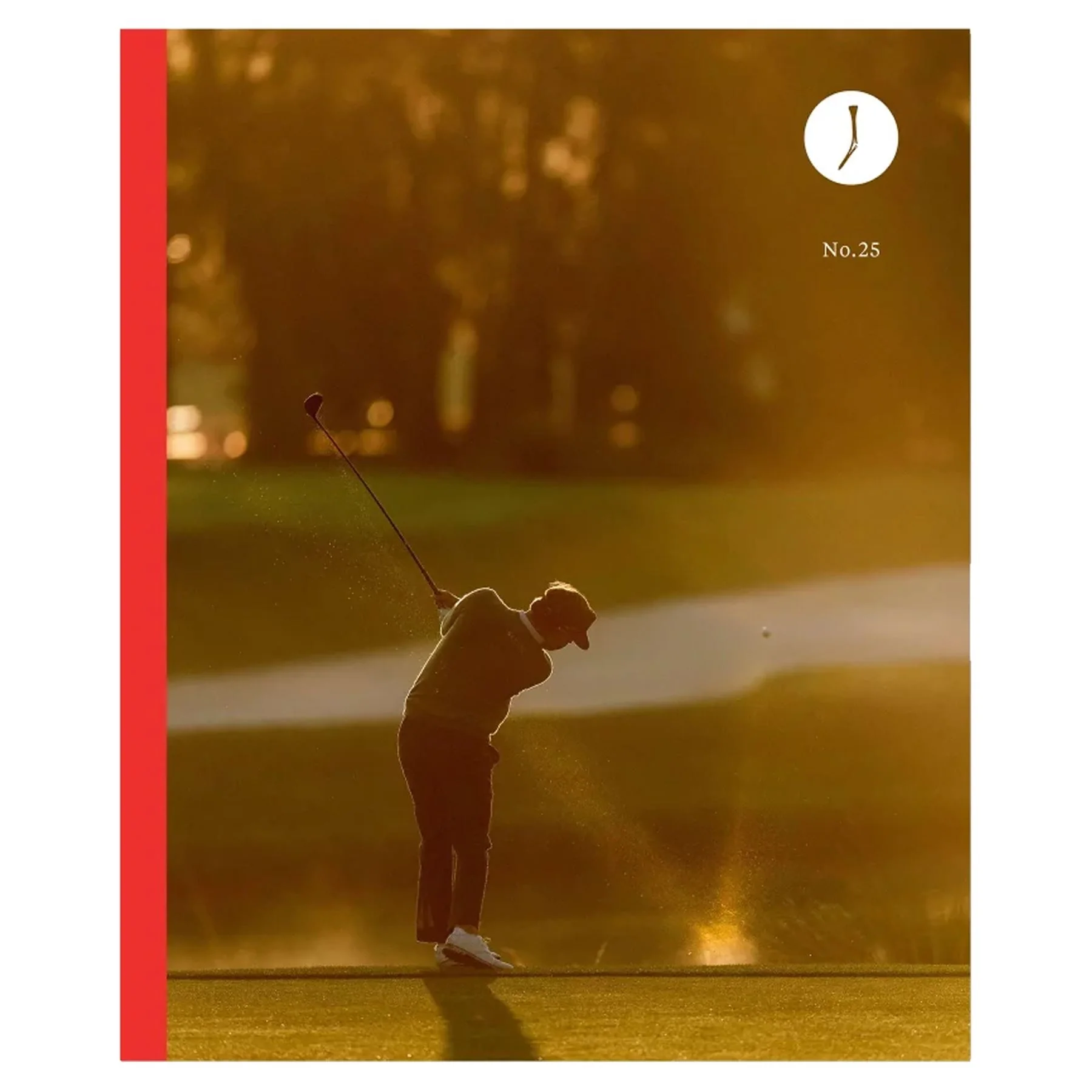 Issue No.25